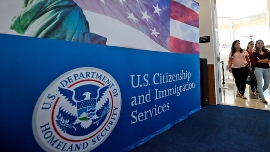 TN VISA - Immigration services