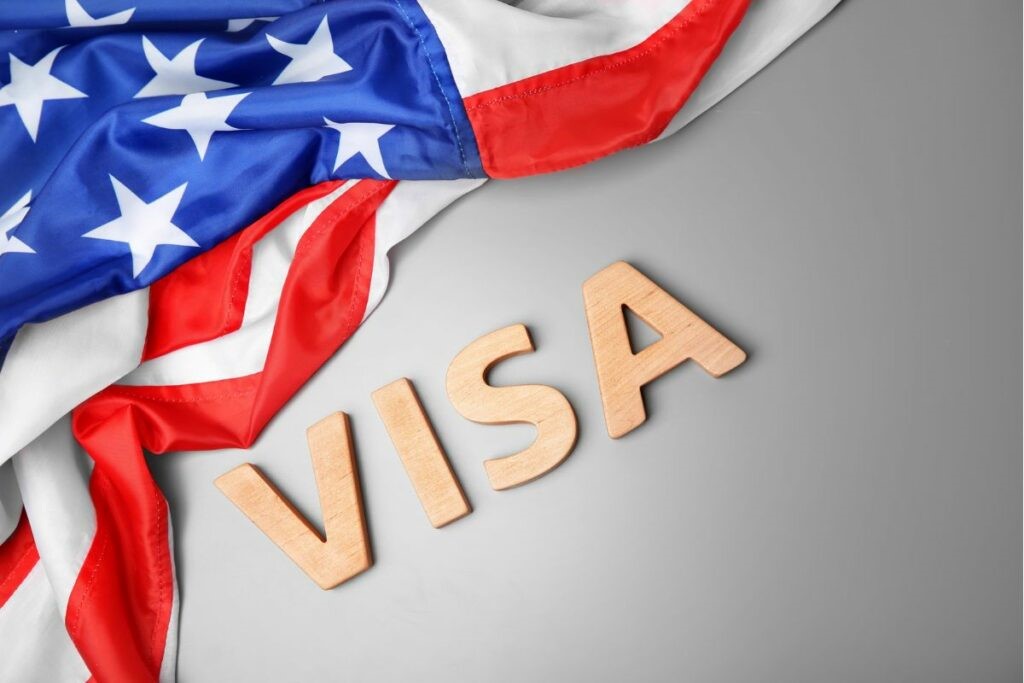 TN Professional VISA